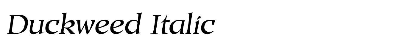 Duckweed Italic